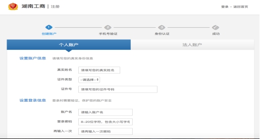 湖南企業登記注冊界面